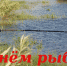 с днём рыбака! - Газета Щербиновский курьер