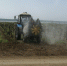 98ndjekktovwfjyw605dy36rjiy93wux - Газета Щербиновский курьер