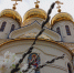 20240427_160439 - Газета Щербиновский курьер